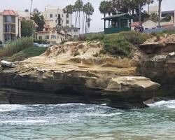 La Jolla Movers